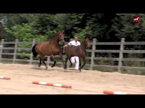 10 Jan S aka Jesse James - Numero Uno - Pref. x Sam R x Ekstein