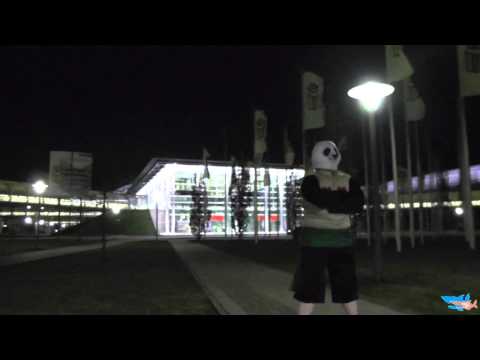 LBM 2014 bei Nacht - Traumhafte Darbietungen - Team.HaiHappen