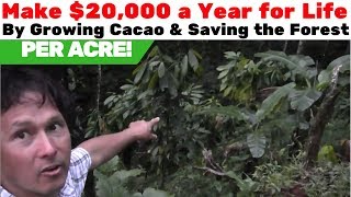 Make $20k a Year for Life & Save the Forest by Growing Chocolate in the USA