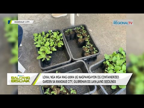 Balitang Bisdak: Libreng seedlings, gipanghatag sa City Agriculture Office sa Mandaue