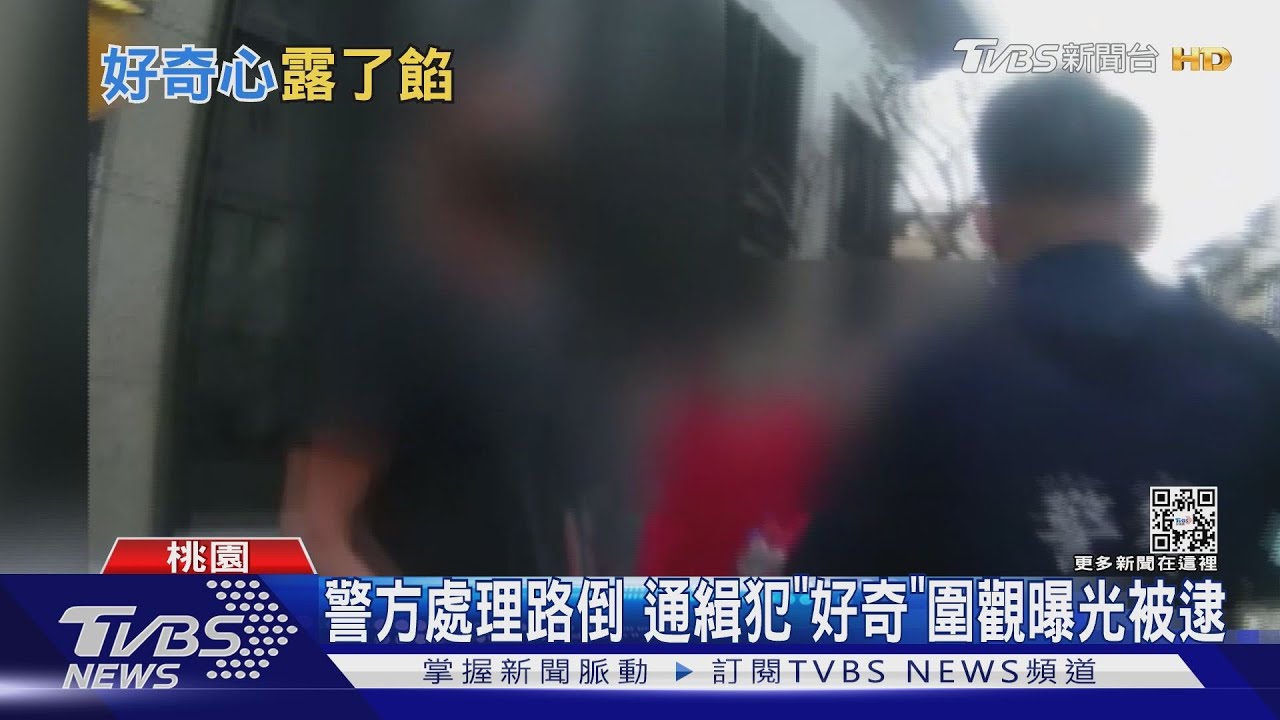 好奇殺死一隻貓!警方處理路倒 通緝犯圍觀反曝光被捕