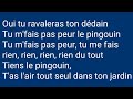 Carla Bruni - Le pingouin