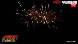 Verbundbatterie Banita von Gaoo