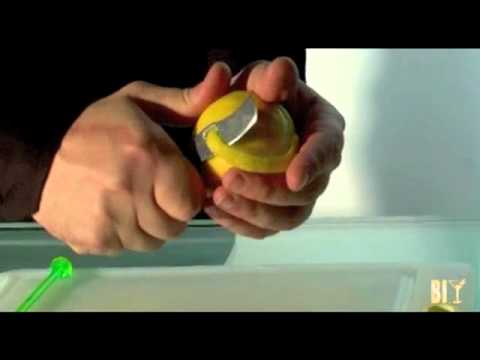 Parassiti a scoiattoli alletichetta Come avvelenare vermi alladulto