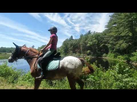 6月5日 Douglas State Forest    Wallis Pond Park