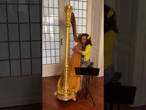 Naderman, François Joseph - Sonata no. 6 in D minor