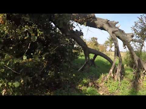 30 09 2017 Kleine Runde zum Monatsende