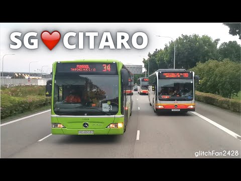 38K Subs! - SG❤️CITARO