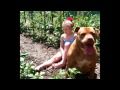 Esta pitbull ayuda a niña de 7 años con autismo