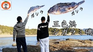 preview picture of video '五色浜 シガラミ磯 3 白浜 磯釣り ごしきがはま 【 うろうろ和歌山 】 和歌山県 西牟婁郡 五色ヶ浜 南紀熊野ジオパーク Japanese Geoparks'