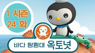 바다 탐험대 옥토넛 - 말미잘의 공격 (시즌1 에피소드24 - 전체에피소드)