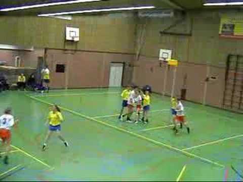 Weidevogels 1 - Kinderdijk 1