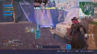 のんびりフォートナイト
