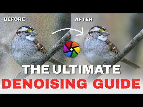 The Ultimate Denoising Guide in Darktable (Darktable 4.4+)