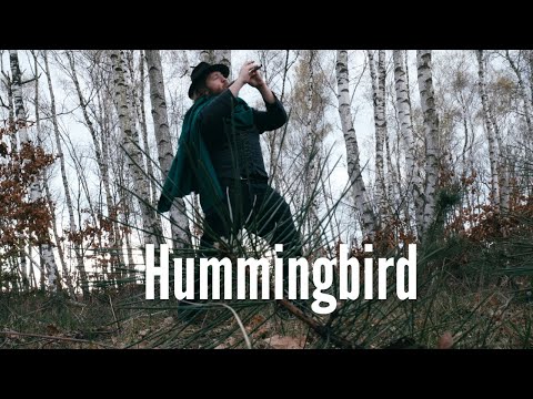Fabian Zechmeister - Hummingbird