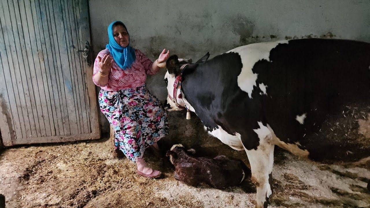 ‼️KORKTUĞUMUZ BAŞIMIZA GELDİ SONU GÜZEL OLDU‼️☺️