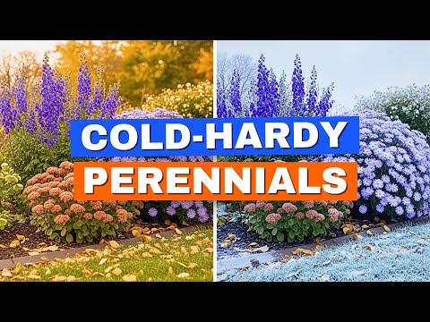 10 Cold-Hardy Perennials for October 🍂 Color That Lasts Into Winter ❄️