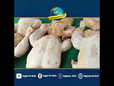 Sempat Turun, Harga Daging Ayam Naik di Lubuk Linggau