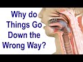 Why do Things Go Down the Wrong Way When Swallowing Sometimes (Aspiration)?