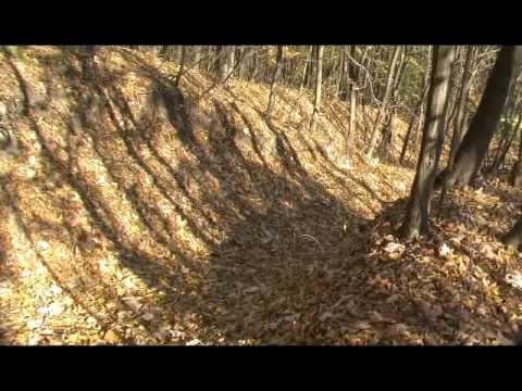 Secretul comorii blestemate din Cetatea Mosna