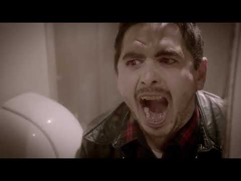 Animal - The Pigeon Detectives (Official)