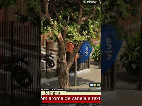 POTIRENDABA - SÃO PAULO - CORTES