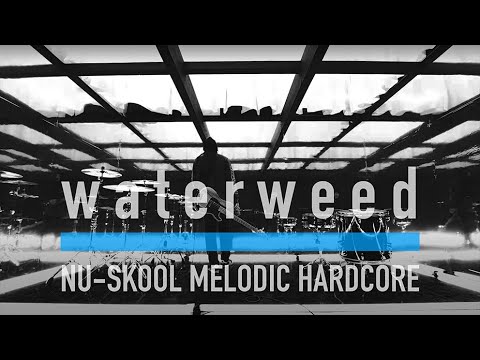 waterweed - Beyond the ocean (Music Video)