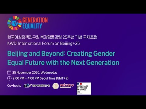 Beijing and Beyond : Creating Gender Equal Future with the Next Generation