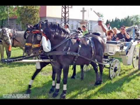 Danka Ubiparip - Probudi se Vojvodino (Autor spota 'Moja Vojvodina, moj dom' na FB)