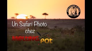 A venir Kenya - Massai Mara (27/10 - 05/11)