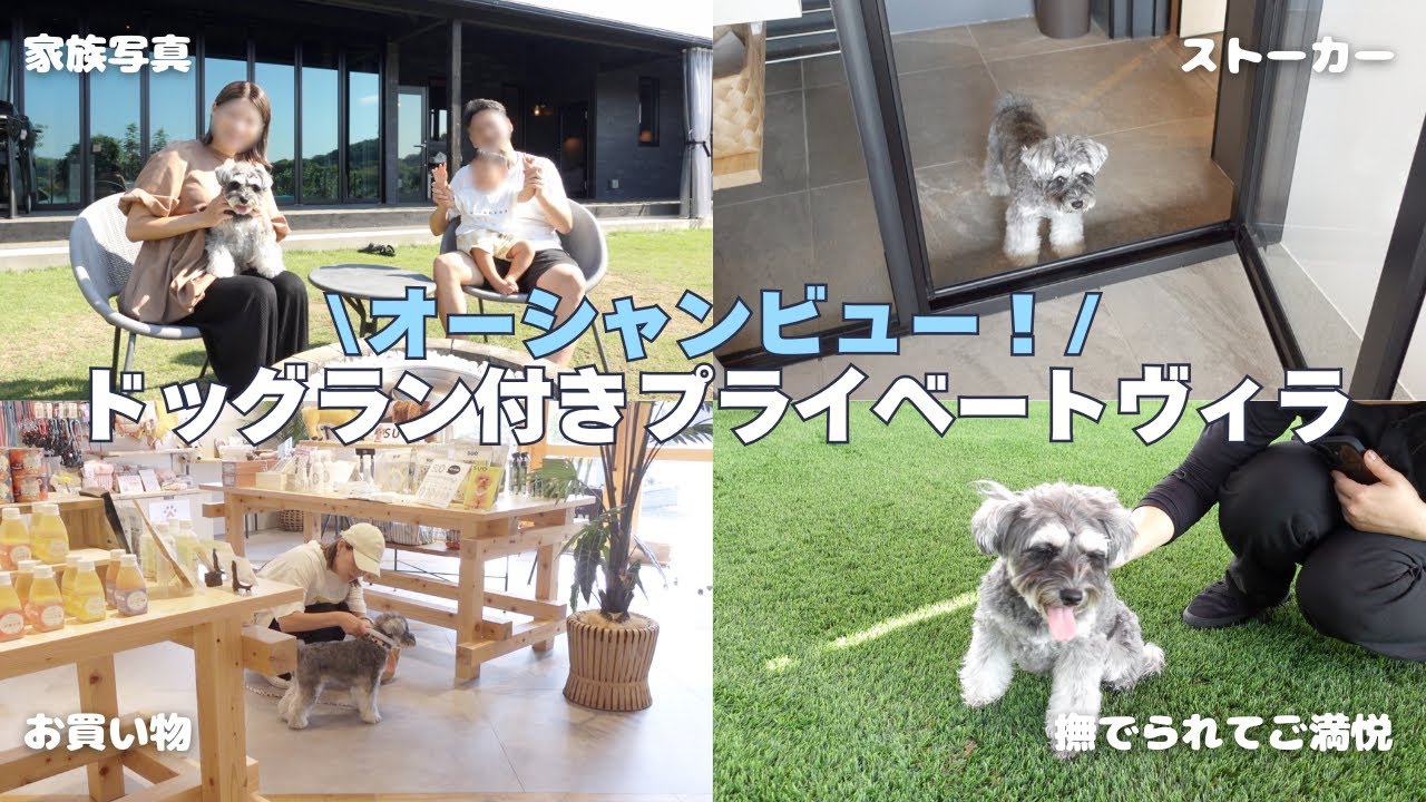 【伊勢志摩】普段走らない愛犬がドッグラン付きプライベートヴィラに行ってみたら...【シュナウザー】