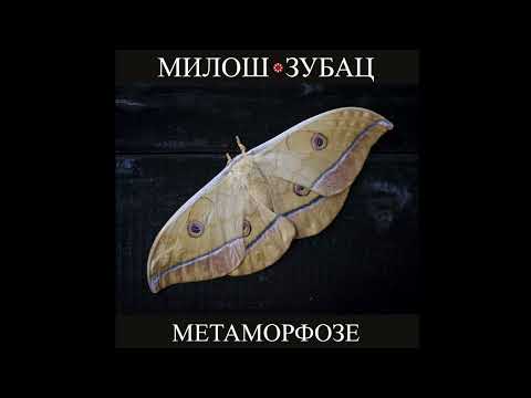 Miloš Zubac - Metamorfoze (Official Audio)