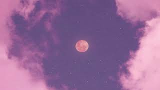 Contact Music Video