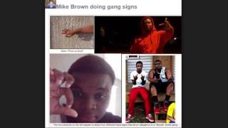 Mike Brown and Trayvon were Great role models for the black communities