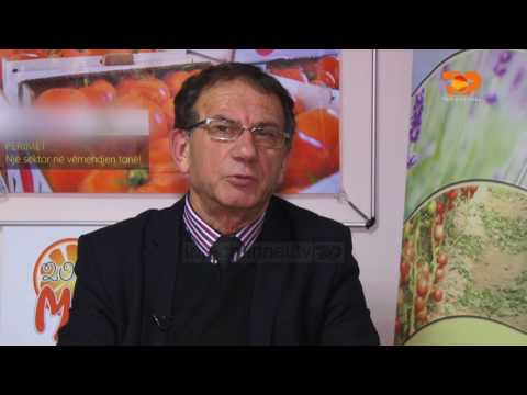 Ne Shtepine Tone, 9 Mars 2017, Pjesa 1 - Top Channel Albania - Entertainment Show