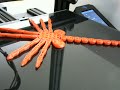 Facehugger 3D Print Timelapse