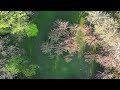 Gradina Japoneza Si Pisica Dji Mini3 Pro 4k