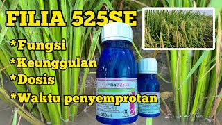 Download lagu DOSIS FILIA PER TANGKI.BATANG PADI KOKOH DENGAN FILIA. mp3 Download lagu DOSIS FILIA PER TANGKI.BATANG PADI KOKOH DENGAN FILIA. mp3