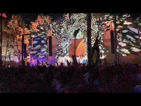 Mandallah 2019 - 1200 Micrograms