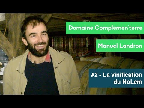 Manuel Landron - #2 La vinification dans le Muscadet