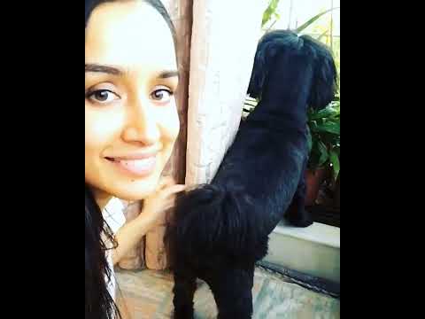 Shraddha Kapoor Happy Dogs Funny