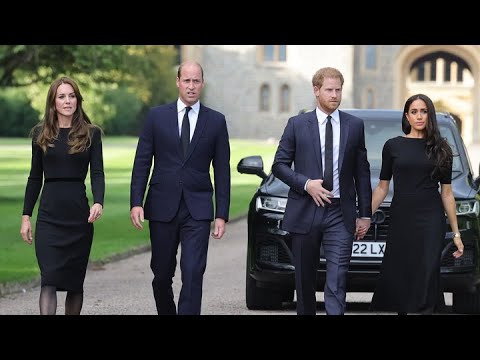ROYAL FAMILY REUNION? Queen's passing brings William and Harry together again