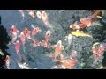 IMG 3841
