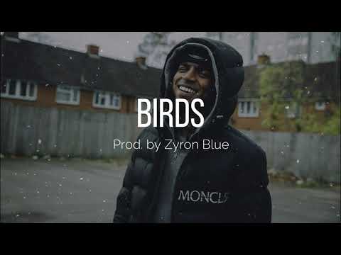 [FREE] Mowgli x Mist x Nines Type Beat - "Birds" (Zyron Blue)