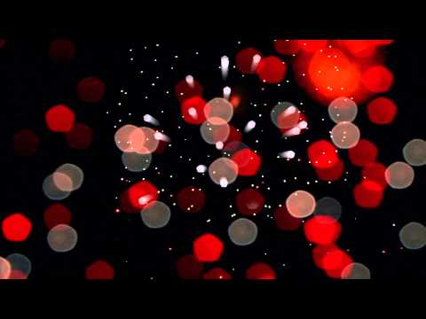 Manchester Orchestra ft. Frightened Rabbit- Architect