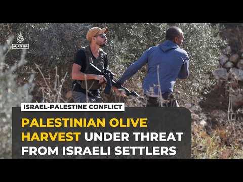 Israeli army, settlers target Palestinian olive harvest in occupied West Bank