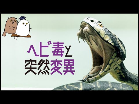 遺伝子型について詳しく解説