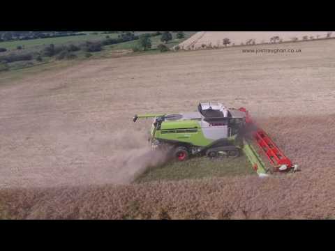 Claas Lexion 760 TT - WOSR