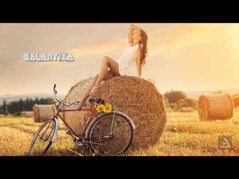 Sultan & Shepard ft. Kreesha Turner - Bring Me Back