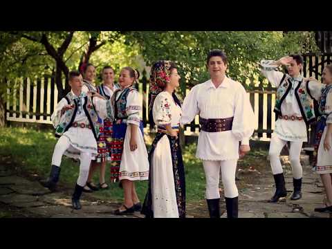 OVIDIU PURDEA SOMEȘ-  Aseară, pe înserat